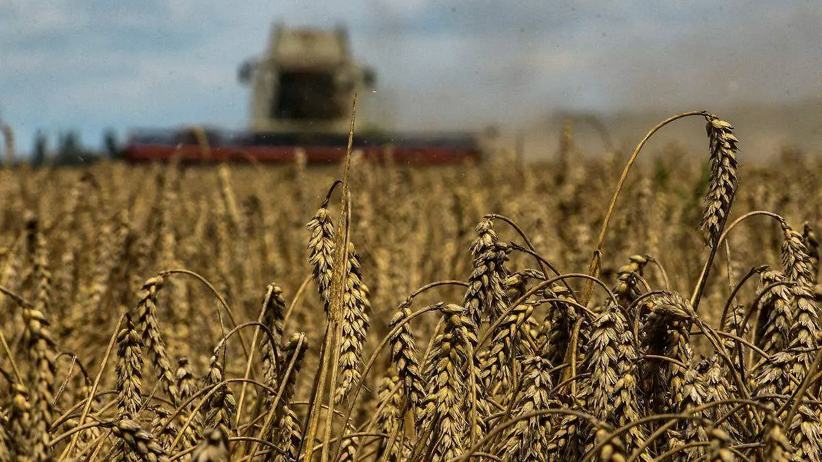 Rusia prolonga acuerdo de exportación de grano por 60 días más